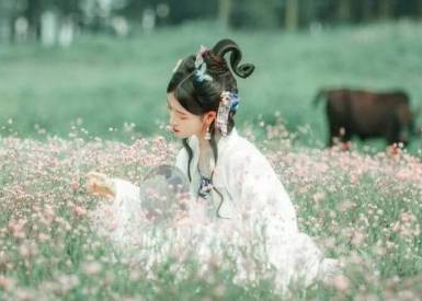 司马炎的皇后杨芷有着怎样的无奈?她经历过哪些痛苦?