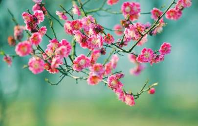 桓伊在音乐方面的造诣如何?《梅花三弄》就是他创作的