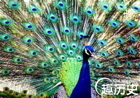 孔宣是谁？为什么能强到战胜燃灯道人？
