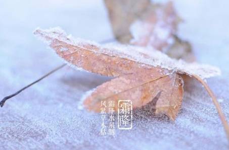秋季最后一个节气是什么?有哪些写“霜降”的诗?