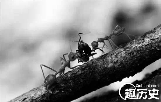 中国古代十大远古妖精排行榜:古代十大妖精盘点
