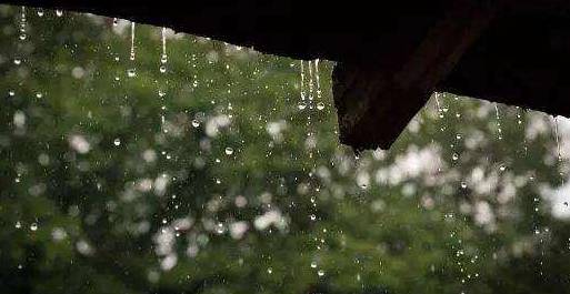 宋朝词人陆游《临安春雨初霁》原文、翻译及解析