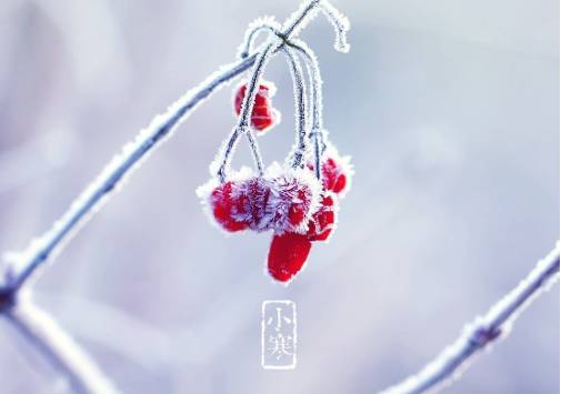 二十四节气之一的小寒,为什么是一年中最寒冷的一天?