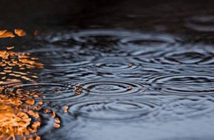 梦到“春雨绵绵”有何寓意?都与哪些心理活动相关呢?