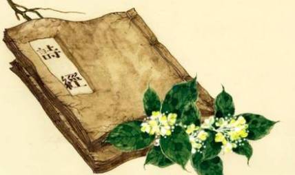 谷风描绘的内容是什么?该如何赏析诗经中的谷风?