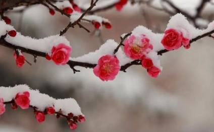 唐代孟浩然诗词之一,南归阻雪这首诗如何赏析?