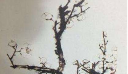 姜夔之疏影·苔枝缀玉,这首宋代诗词该如何赏析?