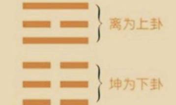 易经的晋卦上九“晋其角，维用伐邑”是什么意思？