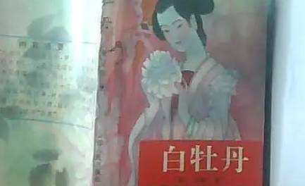 《白牡丹》第十回：宇瑞邀友探亲恙　桂金越墙听瑶琴