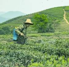 “五·一”国际劳动节是何起源？有着什么样的故事