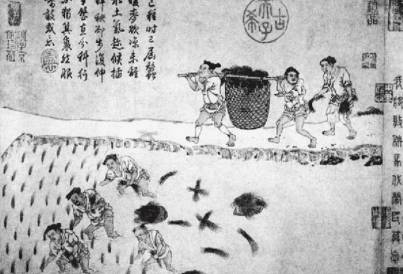 均田制在北周与唐朝的表现形式有何不同？最大的区别是什么？