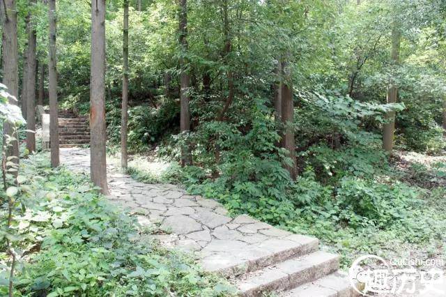南京闹市区竟有座野趣盎然的山 鲁迅时常会去爬