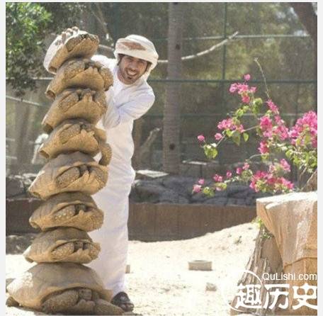 惊呆了！揭秘中东土豪的奢华生活