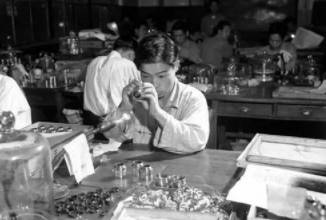 50年代日本经济复苏，50年代的日本什么样子？