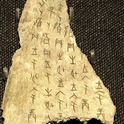 甲骨密码:殷墟破译,解锁商代文明的上古真相