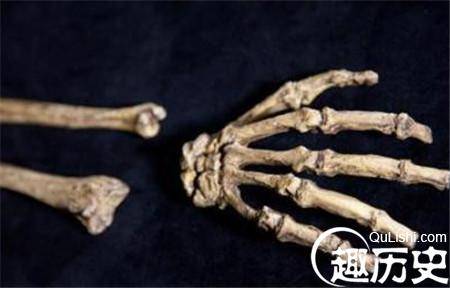 揭秘西班牙人颌骨:最早的人类残骸
