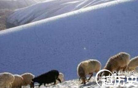 揭秘昆仑山地狱之门牲畜毙命真相：雷击致死