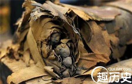 埃及发现戴黄金面具的木乃伊 可能不是人类!