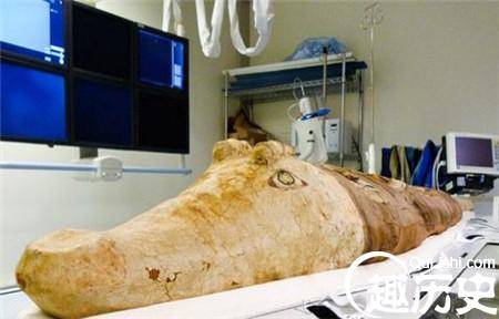 揭秘:2000年前古埃及鳄鱼木乃伊