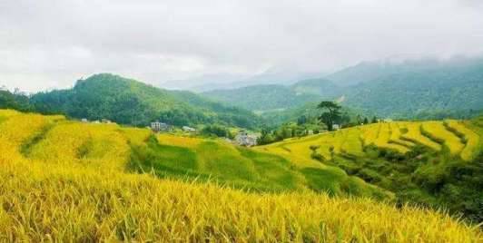 荆湖之战中灭掉的武平是什么来历?有着什么背景
