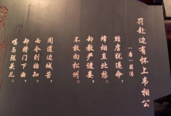 她是唐朝第一才女，因姐弟恋孤独终老