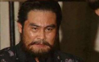 三国那些名将的后代中除了陆抗，还有比较出彩的人吗？