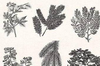 沈括的水利医学成就有哪些？详解其成就