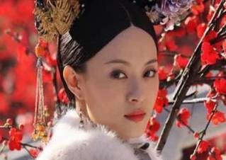 清朝后宫的妃嫔们的俸禄水平怎么样呢？