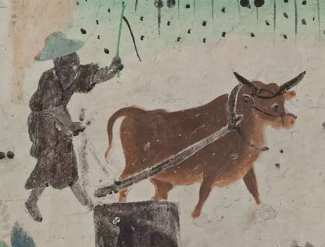 古代中国的牛禁:探究汉朝、唐朝与宋朝的牛保护政策
