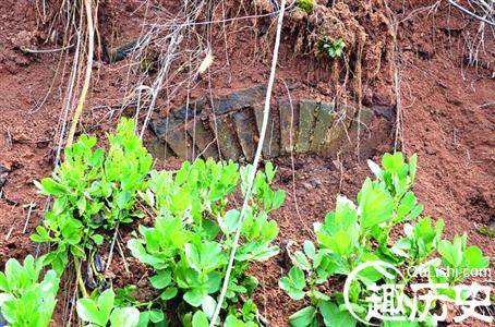 南京大雨冲出高等级六朝古墓:疑似南陈帝陵