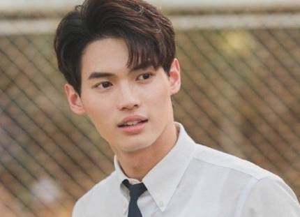《假偶天成》饰演Tine的人是谁 他是不是混血儿