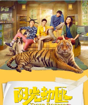 电影《阳光劫匪》改编自小说吗?主要剧情简介