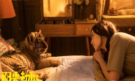 电影《阳光劫匪》改编自小说吗?主要剧情简介