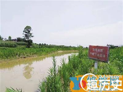 双胞胎姐妹溺亡 获救的男孩有心理阴影怕水