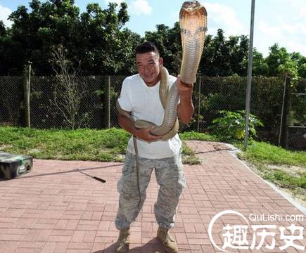 美国男子家养60条毒蛇 曾遭“蛇吻”超百次