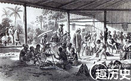 黑奴贸易简介：近现代西方殖民统治的黑暗一幕