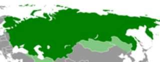 俄国临时政府成立的背景是什么?俄国临时政府走向灭亡的原因