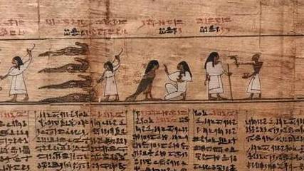 古埃及数学取得了较高的成就，其数学知识包括哪几个方面？