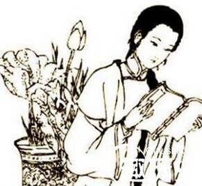 女数学家王贞仪生平简介 王贞仪的成就