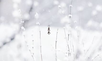 立冬时节为什么要养生？立冬时节养生的方法有哪些？