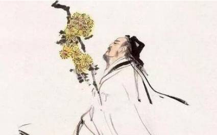 菊花的花语是什么?为什么东晋名士陶渊明偏爱菊花?