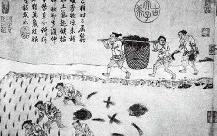唐太宗改革均田制以后，对经济的发展起了什么作用？