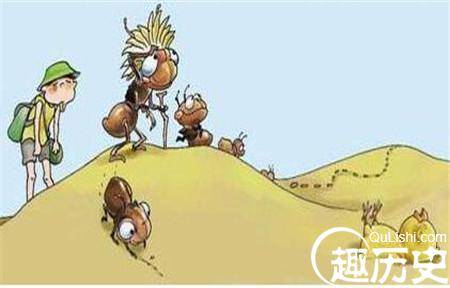 蚂蚁在沙漠中行走为什么始终不会迷路?
