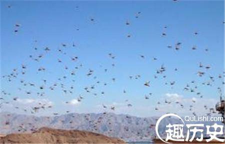 蝗虫抱草而死是寇准拍皇帝马屁?别冤枉他