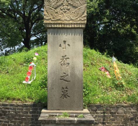 岳阳小乔墓:历史与传说交织的地理密码